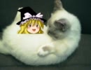 ゆっくりで怖い話・よんかいめ