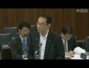 8.4 参議院外交防衛委員会 民主党の超大物、大野元裕先生の質問