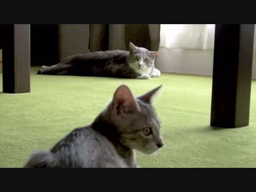 モアレとクリエ #03 「ヒット＆アウェイ」