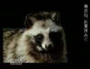 死ぬほど怖いゲーム学校であった怖い話Ｓをやぁってやるぜ!!!!!　Part８