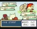 【全部俺が描いた】ポケットモンスターFRを二人で実況プレイpart17
