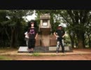 【墨悠・くるみ】チルノのパーフェクトさんすう教室【レイン・ぽん】