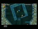 New！スーパーマリオブラザーズ wii【inトマト】 11個目