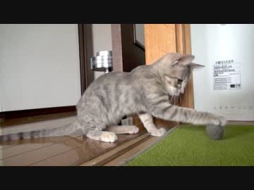 モアレとクリエ #04 「モアレボール」