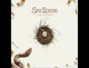 Still Remains - What is Love ?