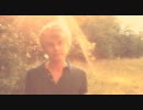 Wouter Hamel - Demise