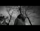Mind Roots