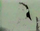 キティガイ動画　詰め合わせ