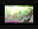 【猫村いろは】　あこがれ　オリジナル　