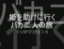 姫を助けに行くバカ二人のたび＜ＶＩＰマリオ２＞５