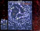 【東方文花帖】避け方を間違えてみた【LEVEL2】