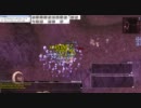 【RO】ソーサラー　サイキックウェーブ狩り　ニブル【国際鯖】