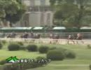 【2011年】第17回 東海クイーンカップ(SPⅡ)【8月5日】