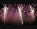 教祖祭PL花火芸術2011　白銀の花～紫陽花～落ち葉の煌き