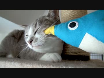 モアレとクリエ #06 「ストレス発散」