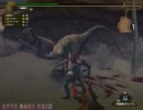 【MHF】金銀ヴァシム1ラスタでサブAB込み　笛視点