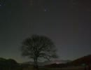 それぞれの夜に