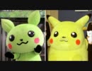 【ピカチュウそっくり】エコハちゃん