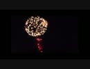 D1GP2011エビスサーキット花火大会