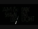 AM & Shawn Lee - Dark Into Light