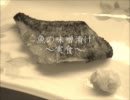 【実食編】魚の味噌漬け【和室で料理】