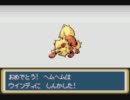 人気の ポケモンジャスティス 動画 66本 ニコニコ動画