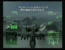 【ACE COMBAT 5】 M18+ 『8492』