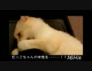 貢ぐ！！　一杯呑もーか！