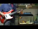 マトリョシカ - 初音ミク (Bass Cover)