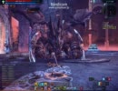 TERA　ぼっちプリーストがカラスチャ先生に挑むようです