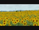ぼっちがひまわり畑で囲まれてみた！：１０