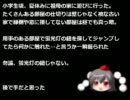 【ゆっくり】怖い話05【射命丸】