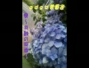 【おんりょう】零～月蝕の仮面～を4人でgdgdしてた。43枚目【注意】