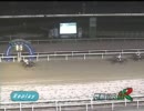 2011年8月11日　門別競馬１１R　ブリーダーズゴールドカップ　