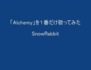 「Alchemy」を１番だけ歌ってみた【SnowRabbit】