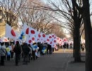 抗議デモへの参加注意事項、夏編（頑張れ日本・フジテレビ抗議デモetc）