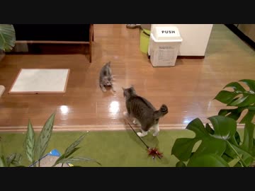 モアレとクリエ #09 「仲良くケンカしな」