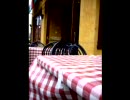 リコーダー「祝典のためのファンファーレ」