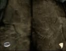 【THE 昆虫採集】 その002