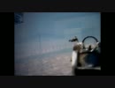 【COD:BO】Launch　バグ