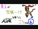 【ポケモンBW】素人が虫統一パを使うとこうなる　part6前編