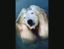 Jazz パーティのお供に、気持ちを盛り上げたい時に【作業用BGM】