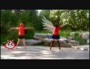 【あ盗＆とある翼】ハッピーシンセサイザ【踊ってみた】
