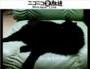 BANDISの今後について相談配信