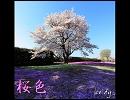 【ニコラップ】桜色【keidy】