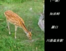 【北海道の良さが伝わらない】俺の2011年　旅情編