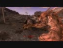 【PS3】Fallout: New Vegas リロードはレボリューションで011