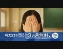 WILLCOM沖縄＿2010年【ヒガリノ】