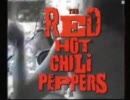 RHCP - Castles Made Of Sand (Jimi Hendrix) 【1989】