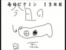 【毎日更新実況！】　ピクミンと過ごす夏の思い出。　１３日目